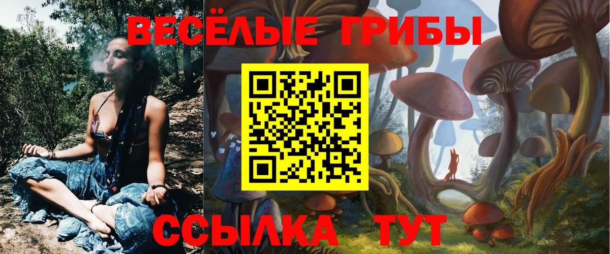 Псилоцибиновые грибы мицелий Вятские Поляны