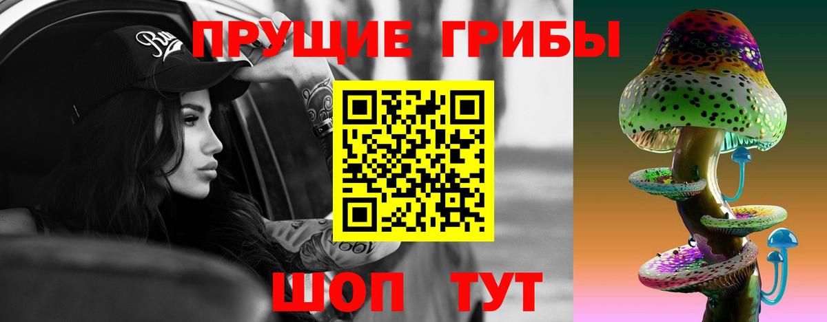 Галлюциногенные грибы Psilocybe  Вход с VPN  Вятские Поляны 